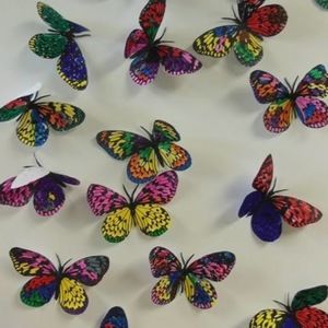 Meet your Posher, Feden